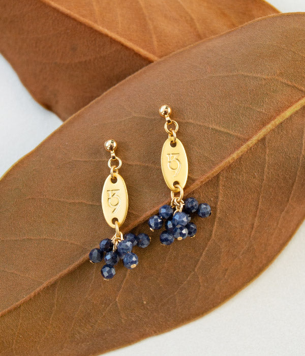 Bear Fruit Earrings | Color Options