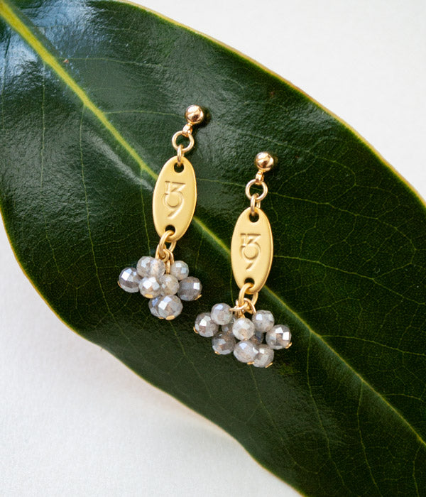 Bear Fruit Earrings | Color Options